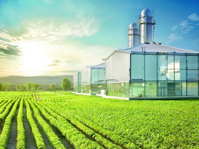 Agricultural Project